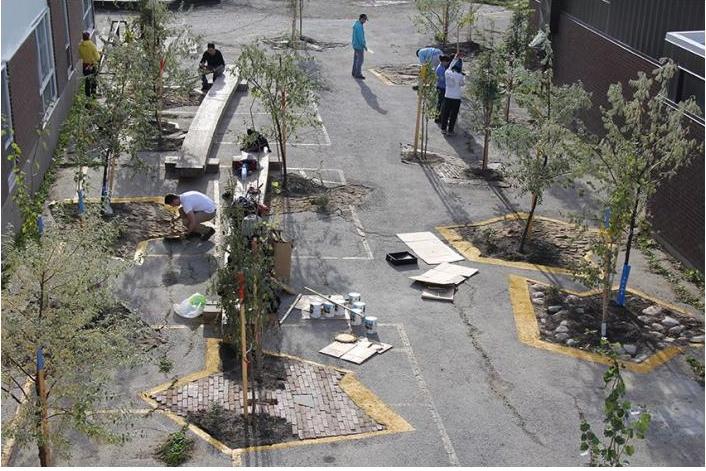 image of trees growing out of asphalt