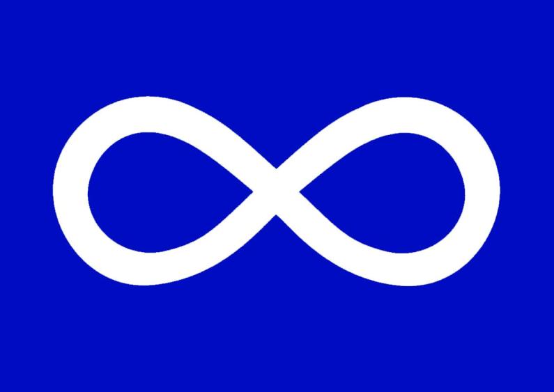 Metis flag