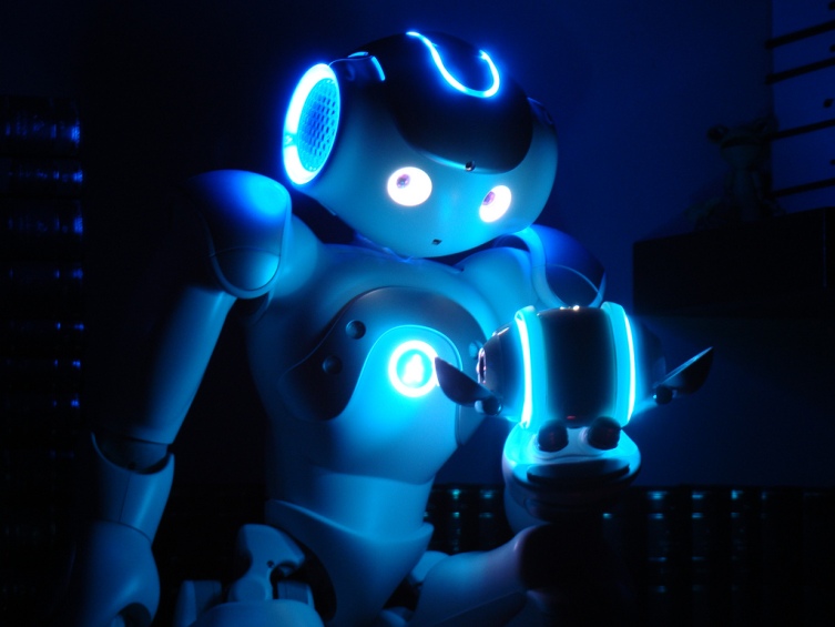 a humanoid robot