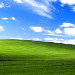 A meadow common to Windows desktops