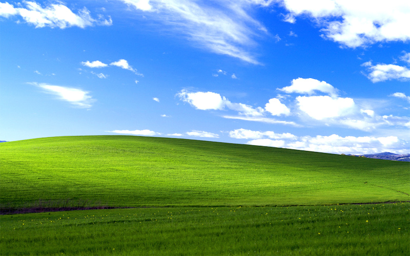 A meadow common to Windows desktops