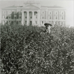 an old photo of a man in frot of teh admin building with grass up to his head