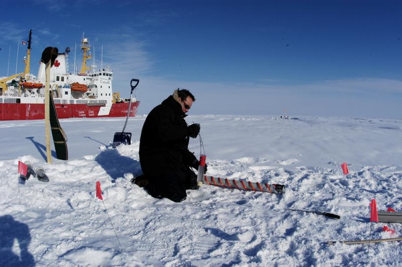arctic science partnership research