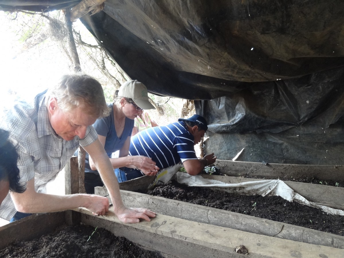 In Nicaragua, soil science professor Annemieke Farenhorst examines a project involving vermi-composting (a process that uses worms to aid in the decomposition of organic materials).