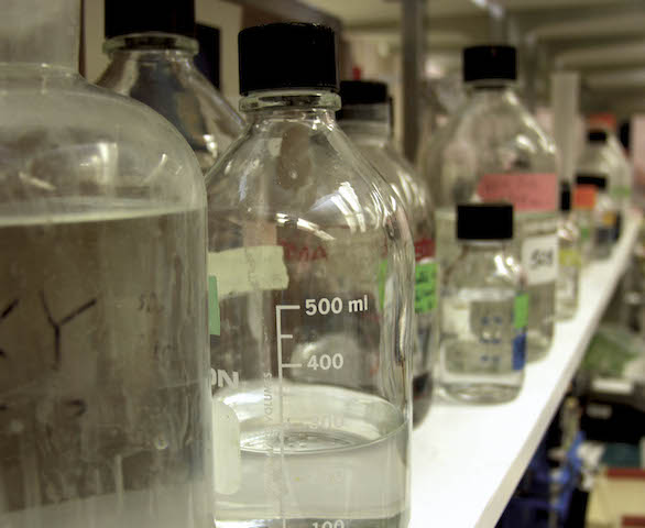 Scientific beakers in a labratory
