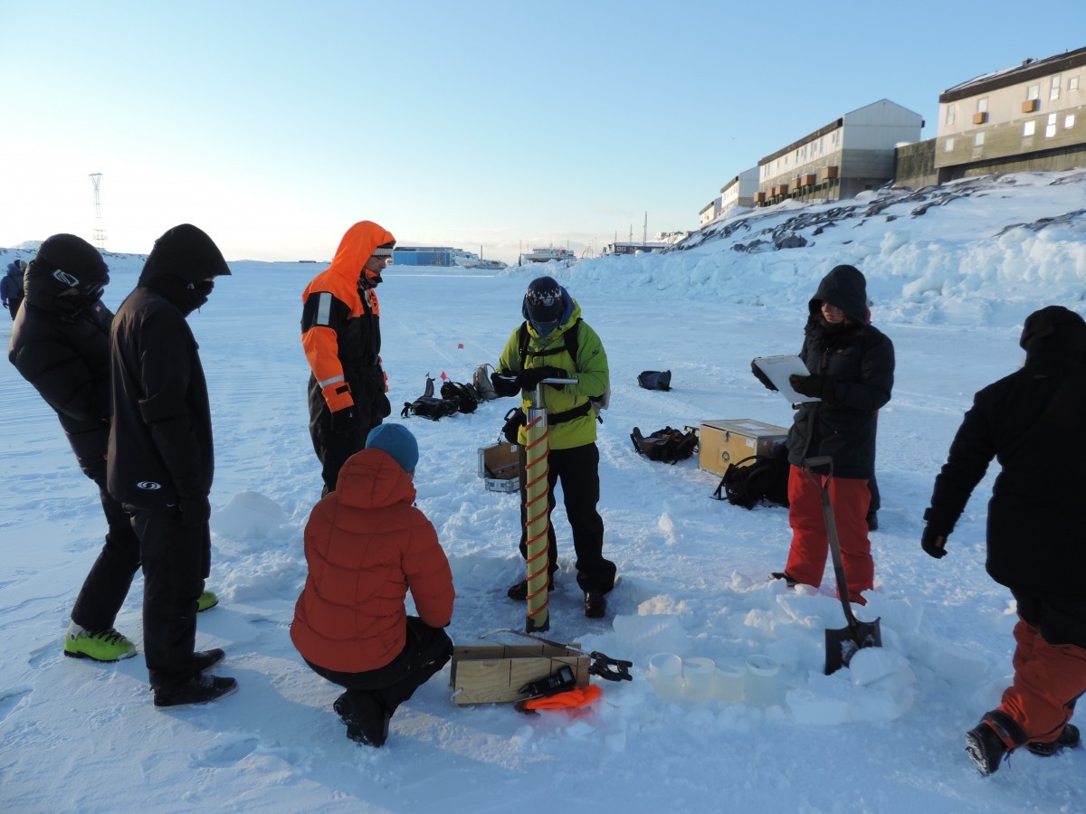 A student in the field school coring the sea ice, while other students record basic measurements of the sea ice.