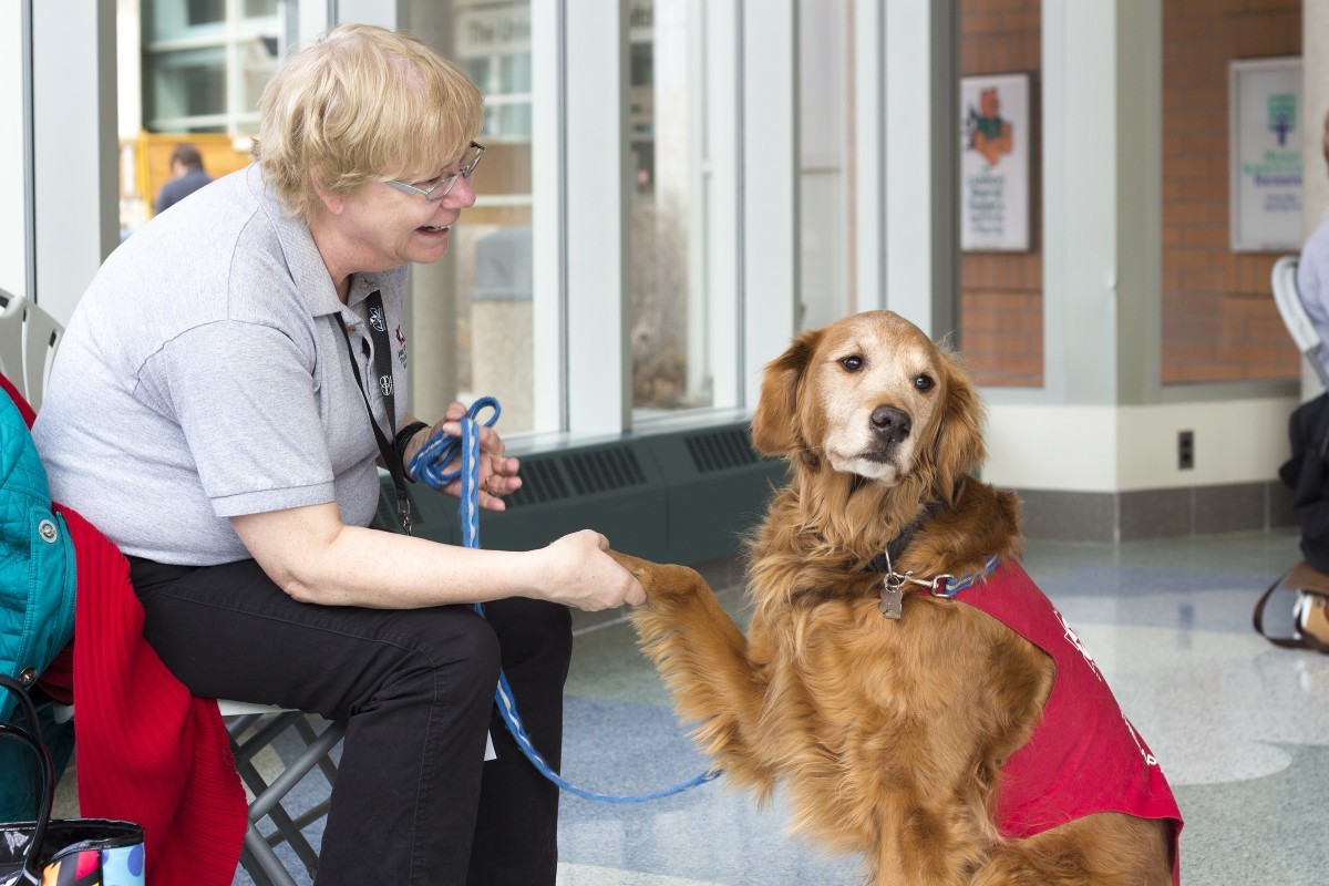 Dog therapy