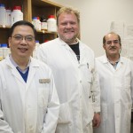 University of Manitoba ALS researchers reseasrch