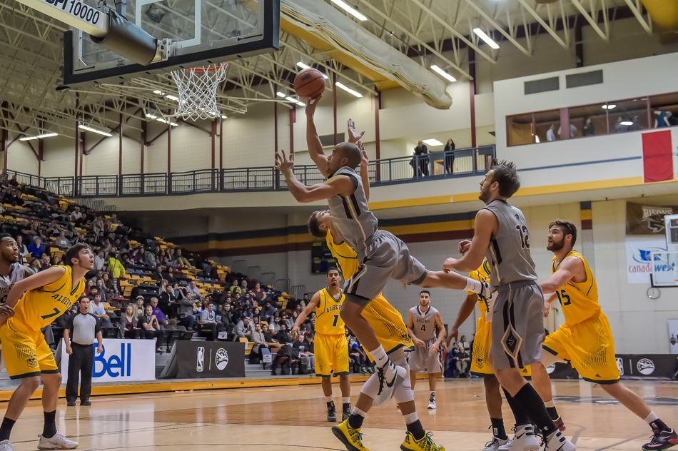 WINNIPEG, MB - MBB vs Alberta Golden Bears November 21: Winnipeg, Manitoba, Canada. Photo by Jeff Miller Bison Sports