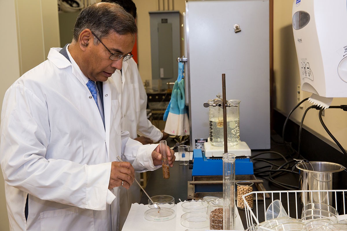 Digvir S. Jayas, vice-president (research and international) conducts research on pulses. // Photo by Adam Dolman