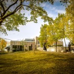 Migizii Agamik in the Fall