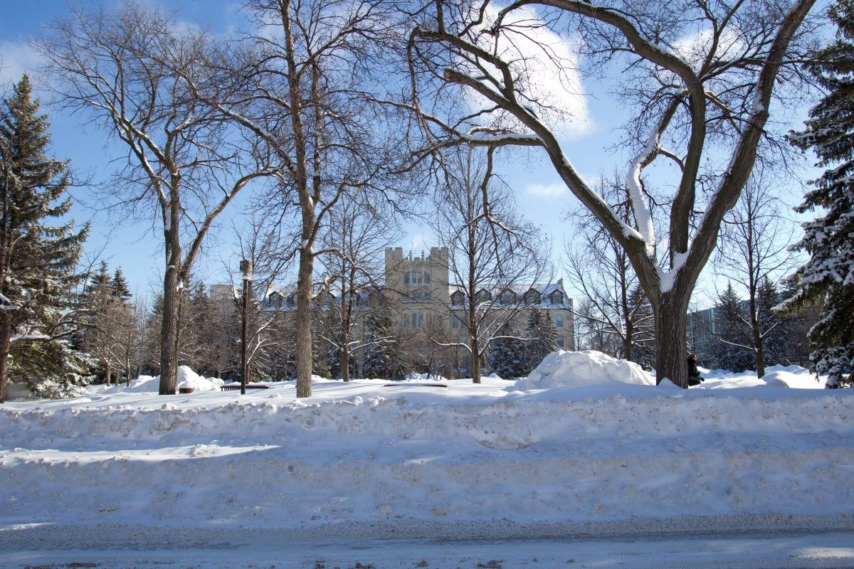 Winter Campus