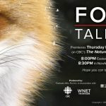 Poster of a fox