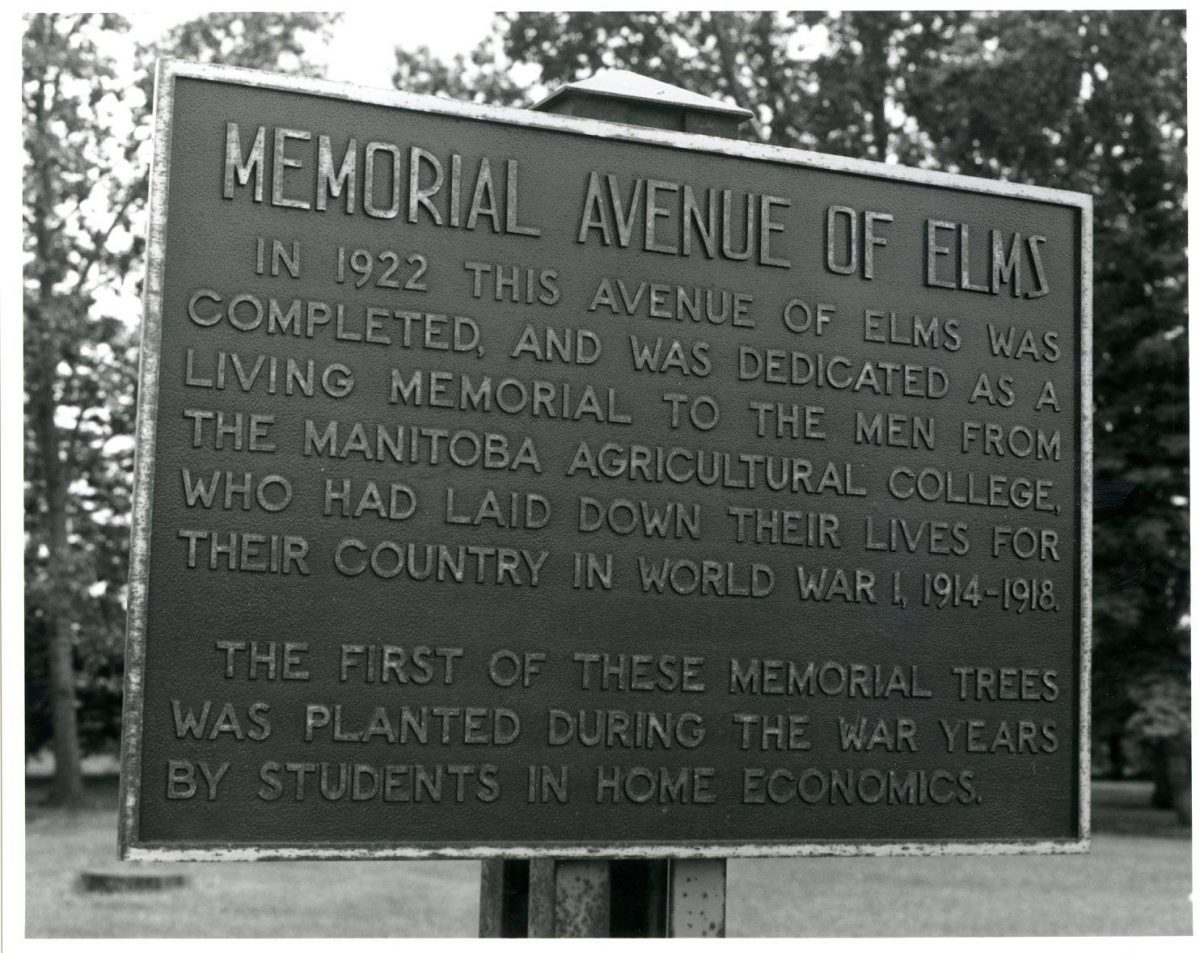 A plaque identifying the Avenue of Elms, established in 1922 in memory of students from the Manitoba Agricultural College who died during the First World War. Source: University Relations and Information Office fonds