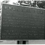 A plaque identifying the Avenue of Elms, established in 1922 in memory of students from the Manitoba Agricultural College who died during the First World War. Source: University Relations and Information Office fonds