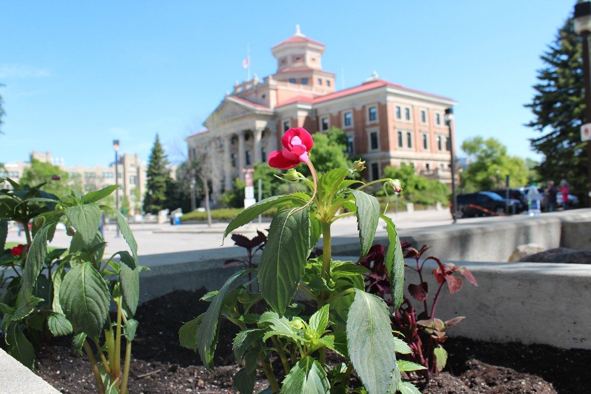 Campus Beautification Day June 2, 2017.