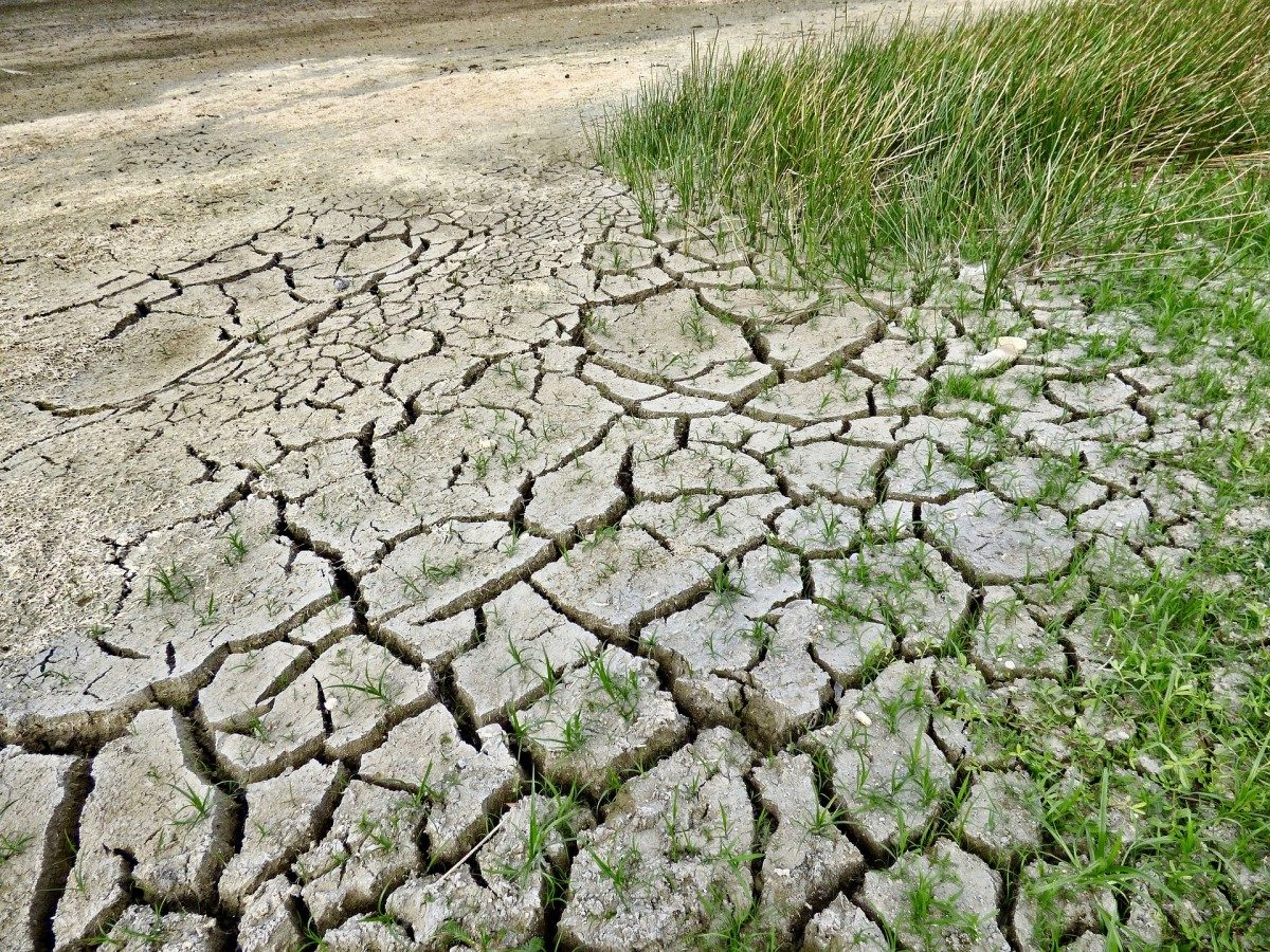 mud, grey and deeply cracked from drought