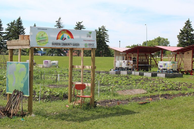 UM Today Rainbow Gardens supports immigrant families