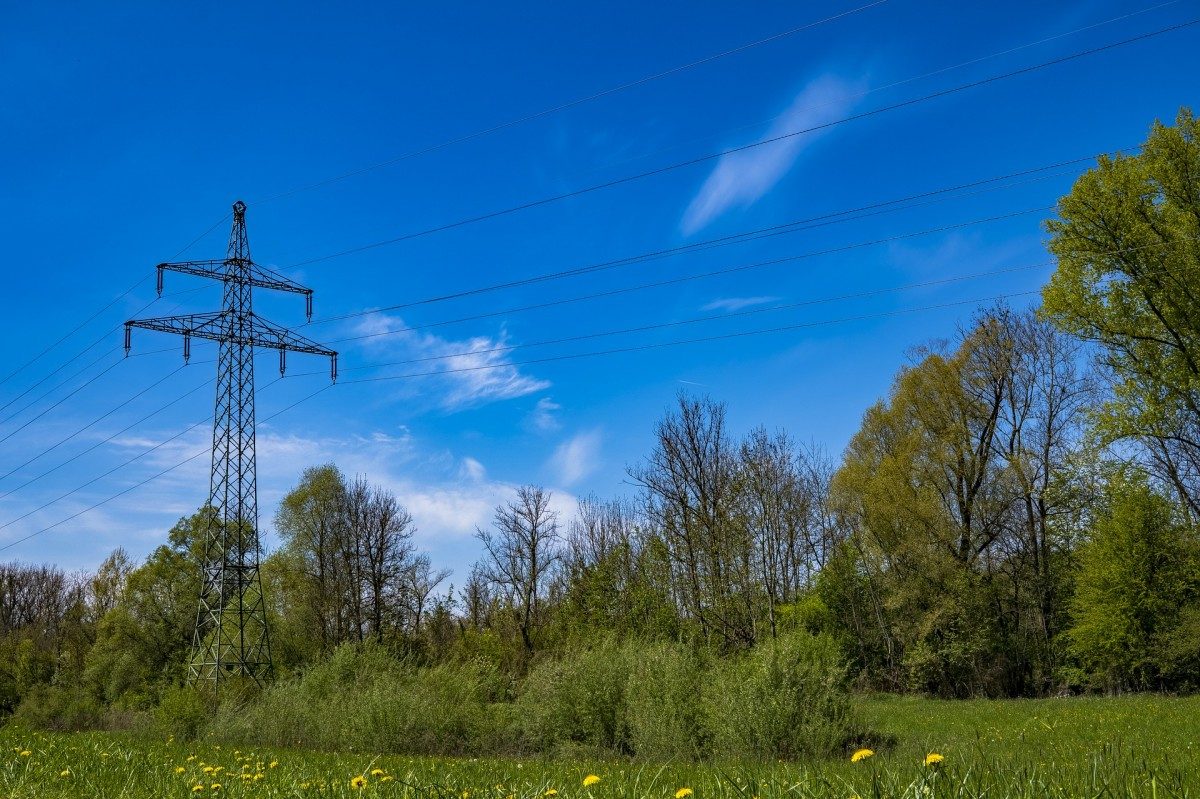 Hydro power line surrounded by green vegetation