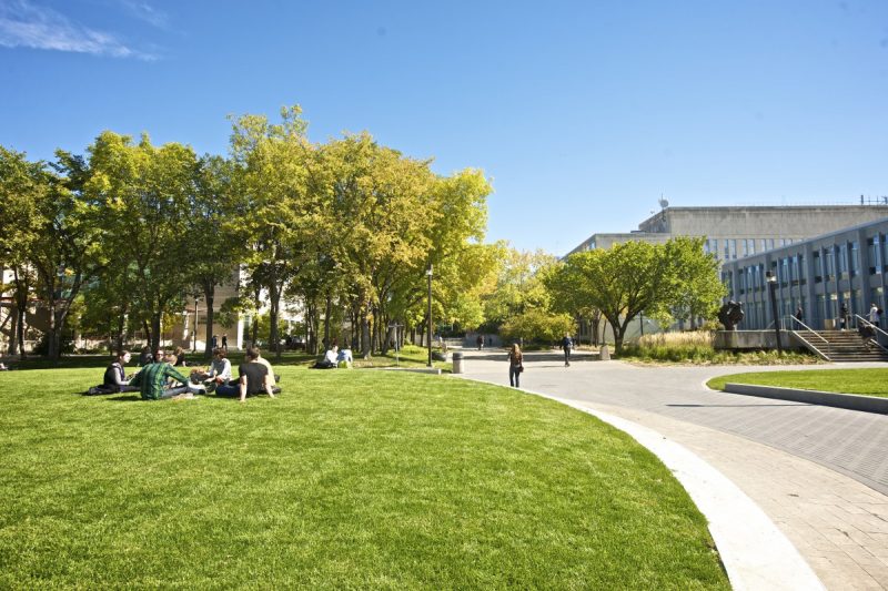 campus walkway and greenery