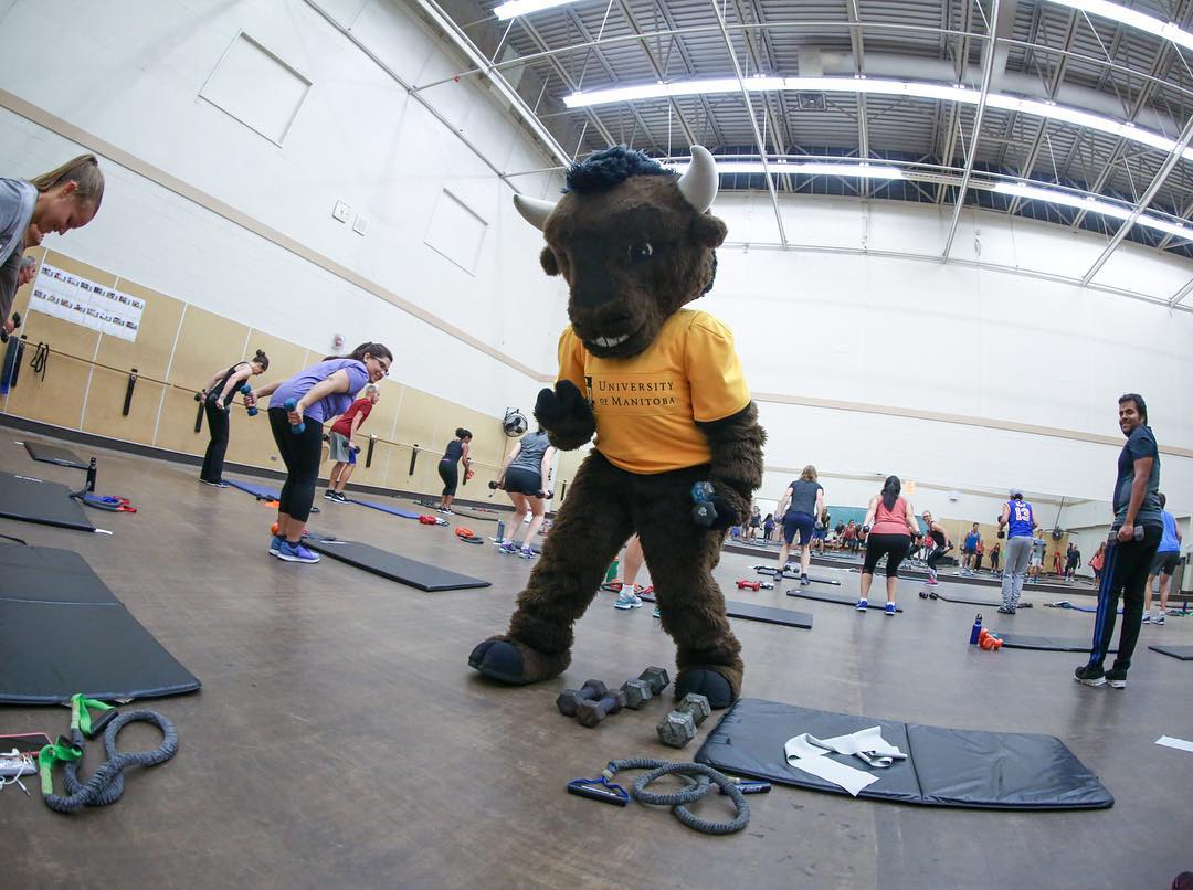 Billy the Bison gets physical in a group fitness class at the ALC, captured by @uofmrecservices on Instagram