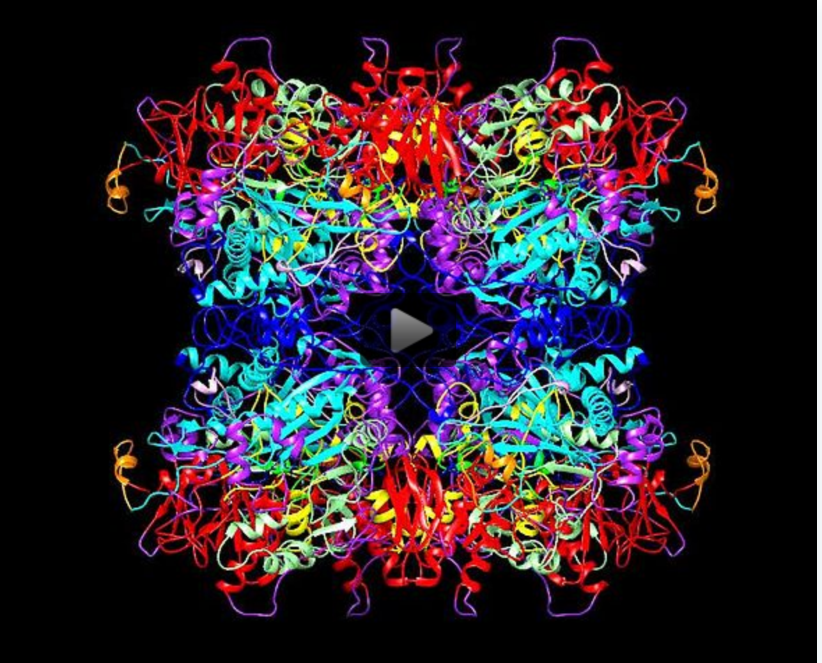 Electron Microscope Images Atom