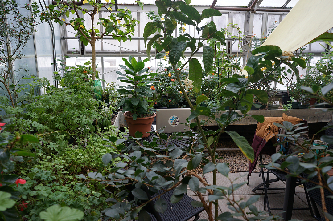 The Buller Greenhouse is a summer oasis in the middle of a harsh winter, shared by @jurisdixtion on Instagram