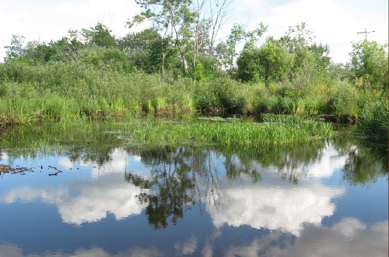 Lake scene. Photo credit: Cheryl Foster