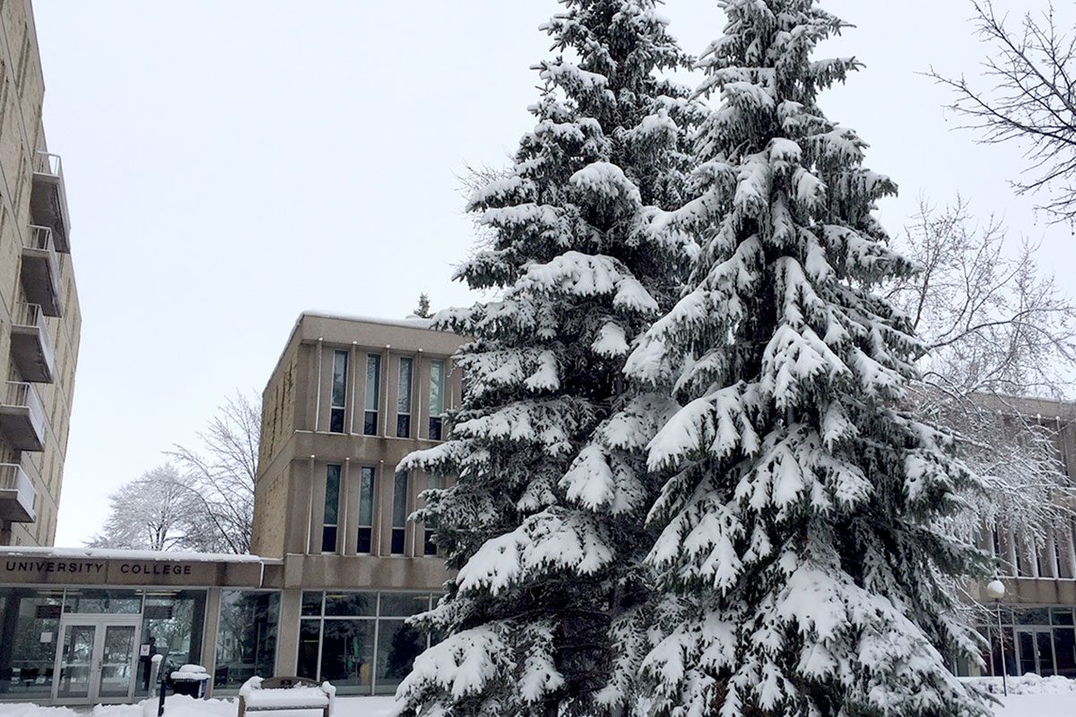 Snowfall on Fort Garry campus outside University College.