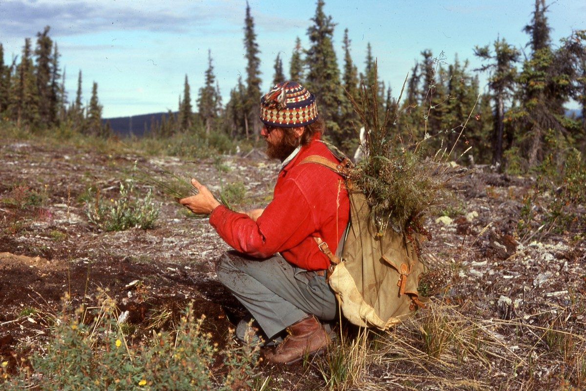 Rick Riewe collecting plants early in his career