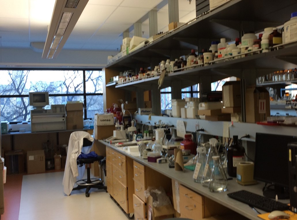 The general lab at Bannatyne campus.