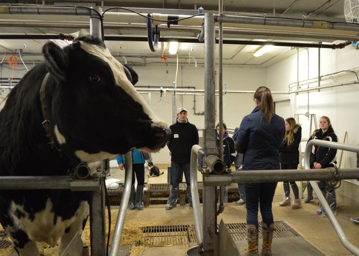 UM Today | Faculty of Agricultural and Food Sciences | New meaning for  'field trip': Course takes students to the farm