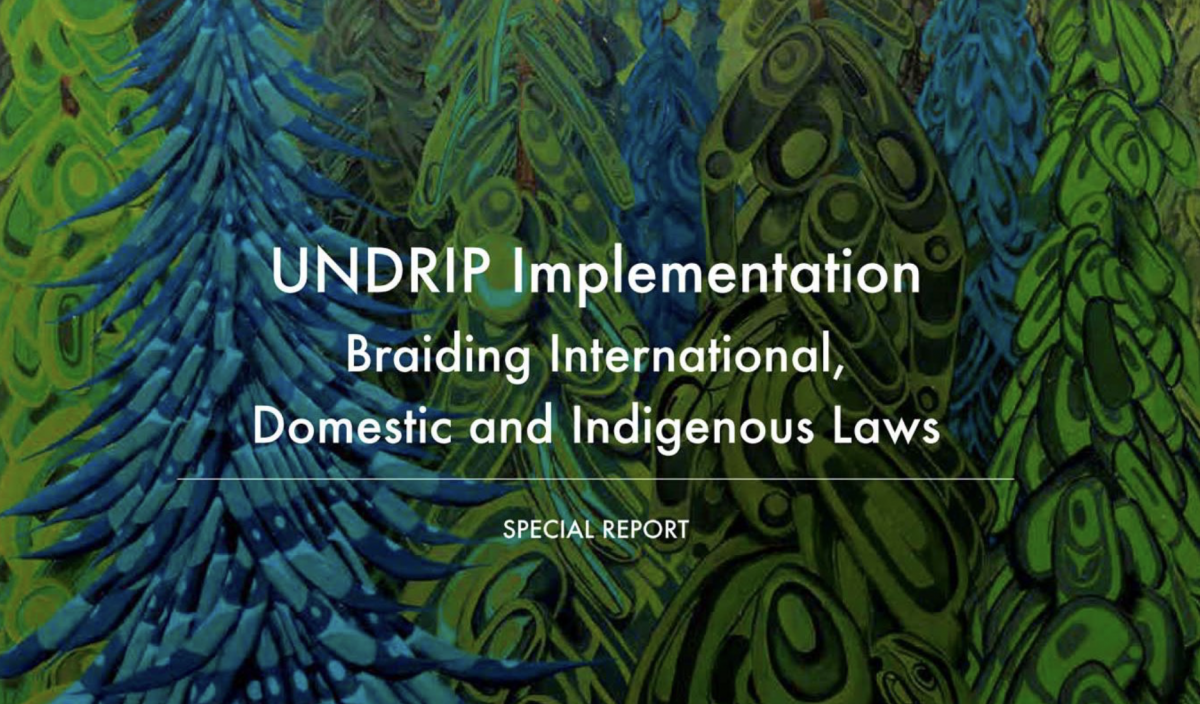 UNDRIP Report cover image
