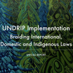 UNDRIP Report cover image