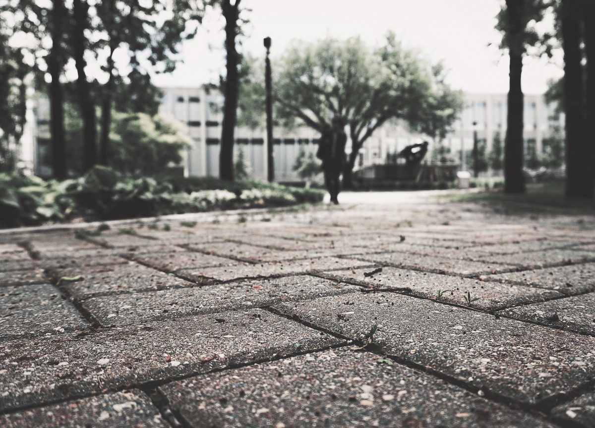 Paving stones at the University