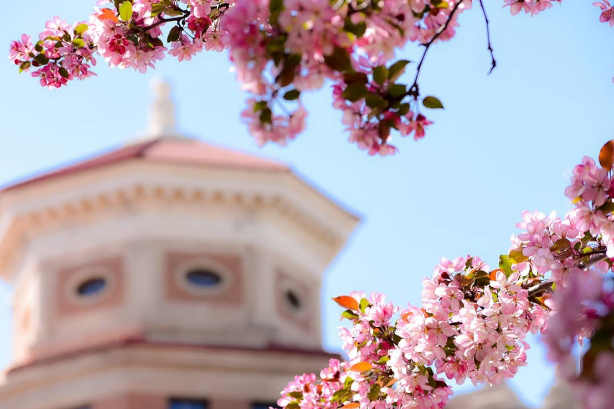 Campus in full bloom, captured on Instagram by @travelling_manitoban