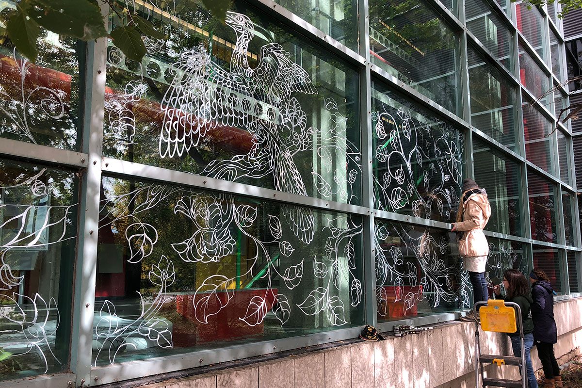Decorating U of M windows with window decals and liquid chalk to protect birds in areas identified as high risk.