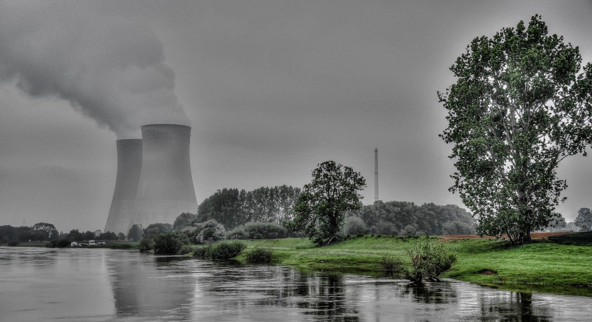 Nuclear power plant near trees