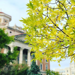 @hjwchristina Winner