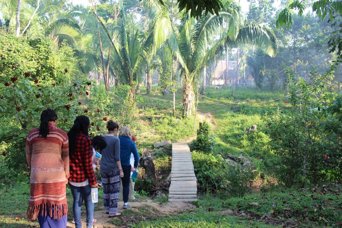 U of M students in CSL's Maya Self-Determination program on a guided hike in the Toledo District of Belize