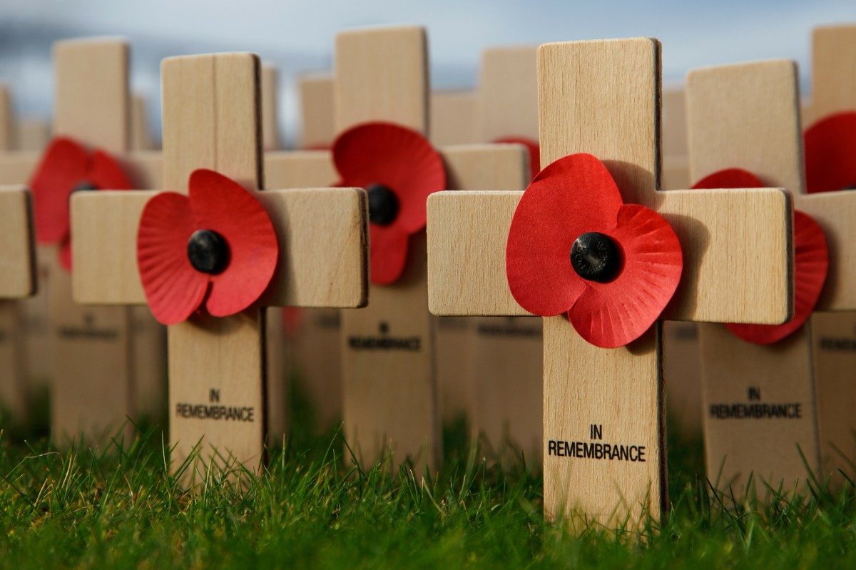 Crosses & Poppies