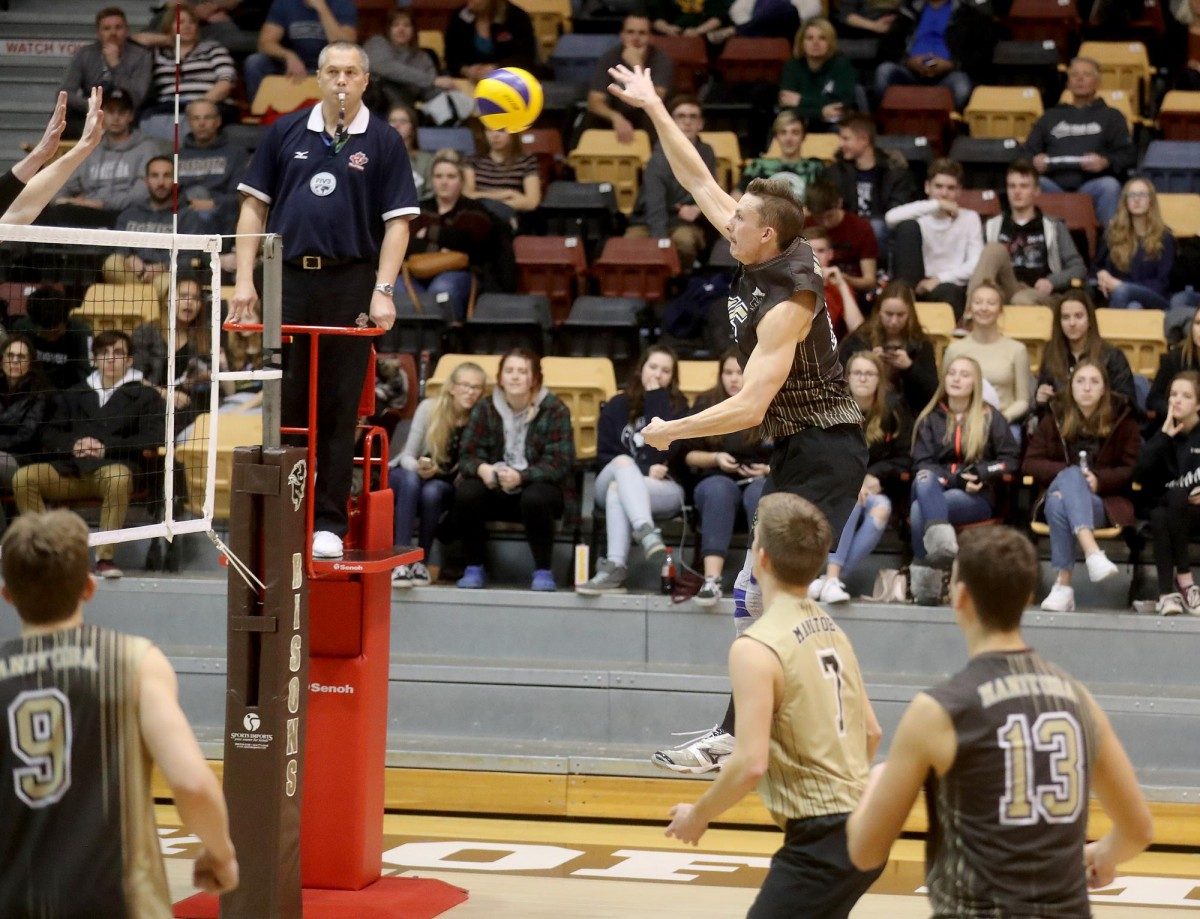 bison men's volleyball
