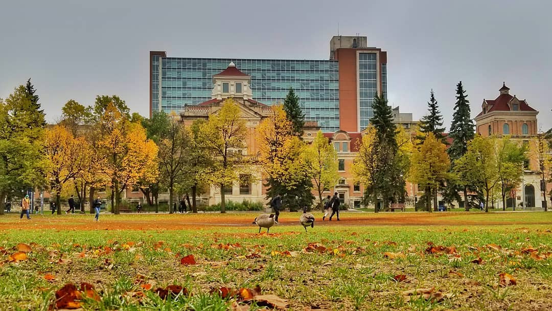 Autumn on the Duckworth Quad and a pair of Canadian geese