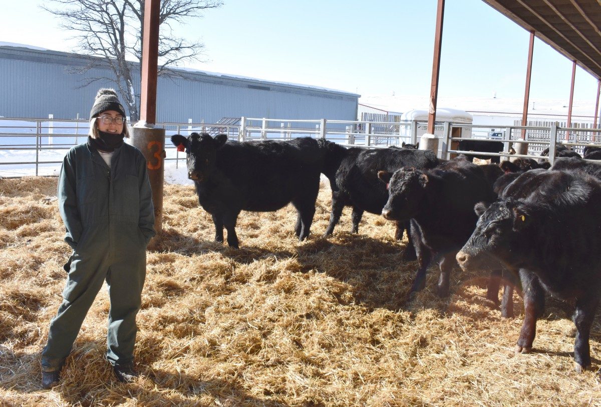 Rhea Teranishi with cattle