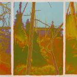 William Lobchuk The Great Northwest Series (triptych), 1982 serigraph, edition 29/35, 290 cm x 72.2 cm Gift of Bill Lobchuk School of Art Gallery Permanent Collection