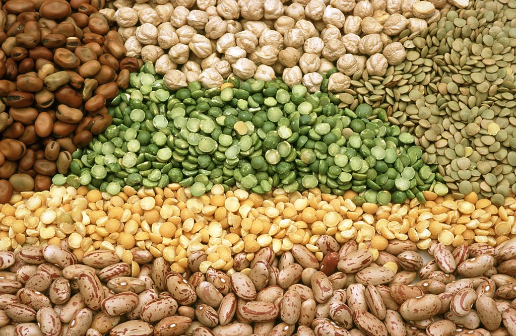 Various pulses, like peas, laid out on a table