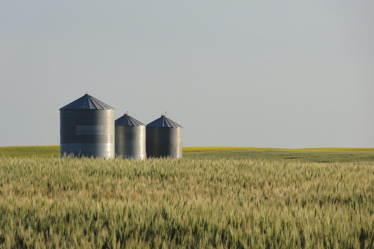 Image of silos from Ognjen Odobasic / Pixabay