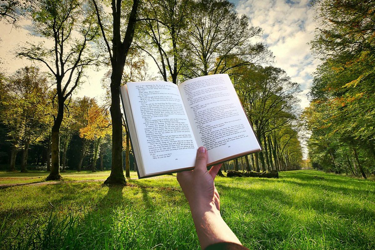 Reading a book. Trees in the background. // Image from Pixabay