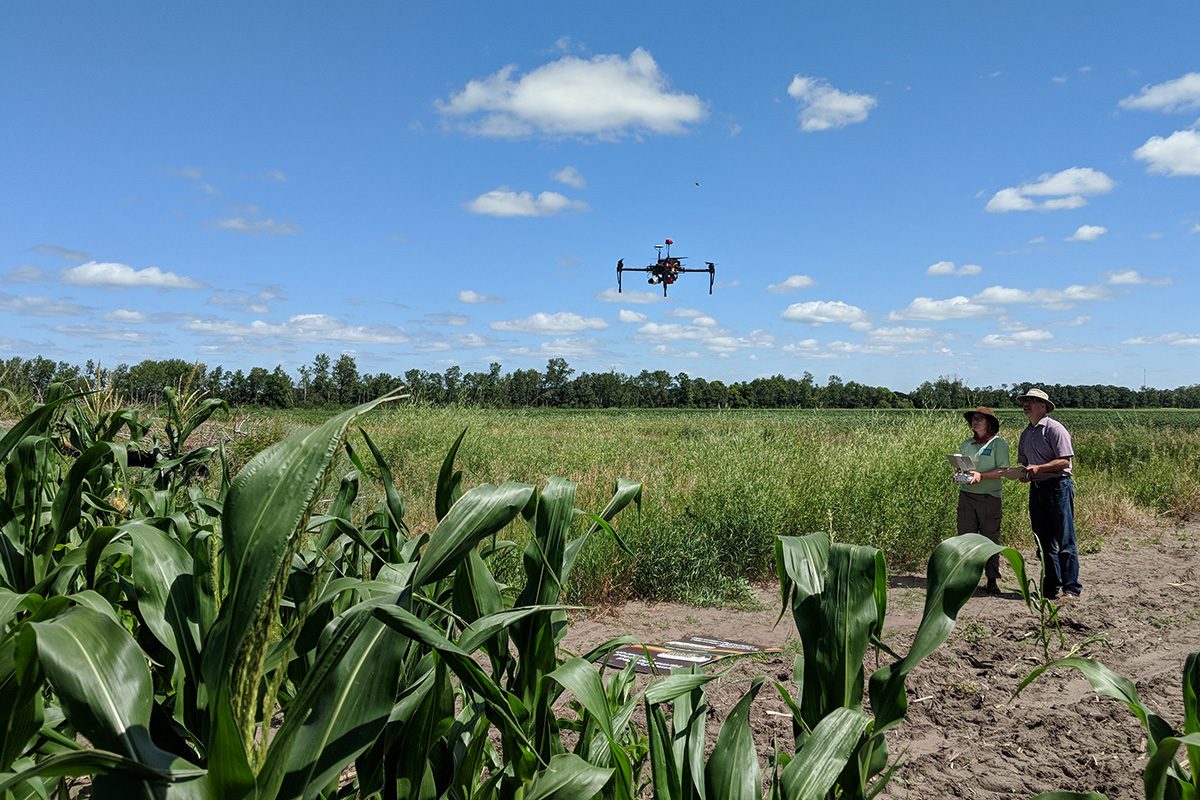 Researchers in the Faculty of Agricultural and Food Sciences use drones to measure reflected energy in studies of crop growth. // Photo credit Krista Hanis-Gervais