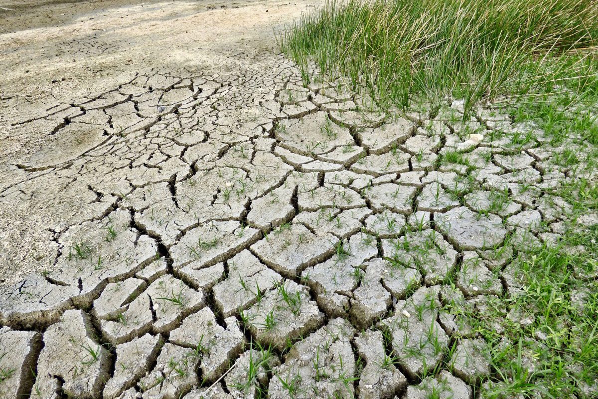 Pixabay image of mud, grey and deeply cracked from drought.